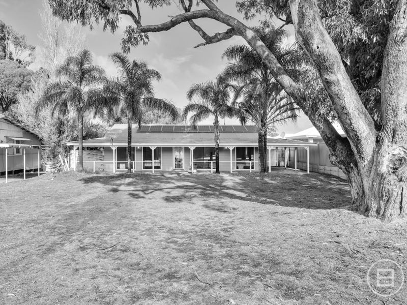 13 Olive Road, Falcon