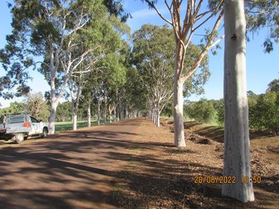 Lot 50, 23 Mauravillo Blvd, Wundowie WA 6560