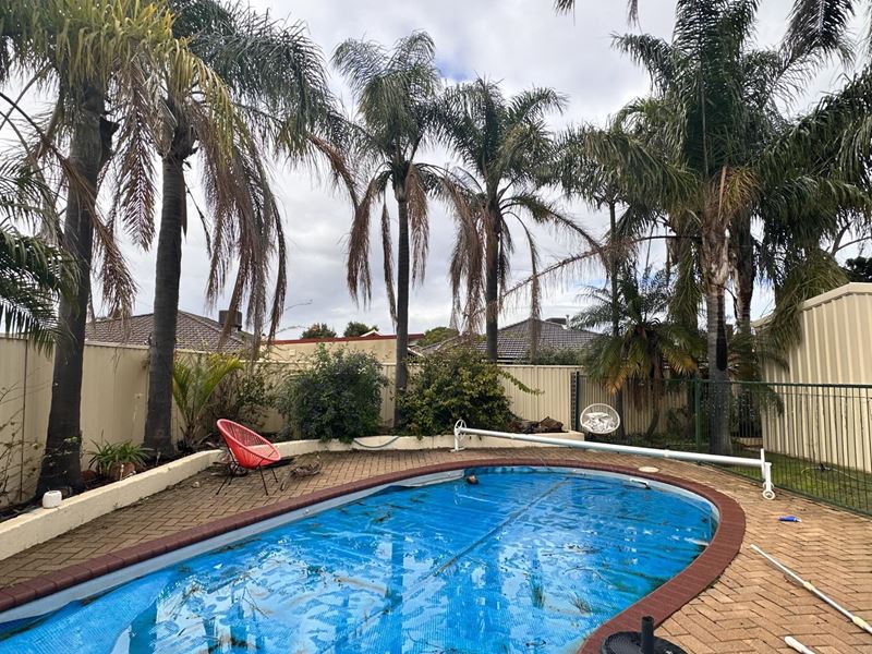 201 Seville Drive, Seville Grove WA 6112