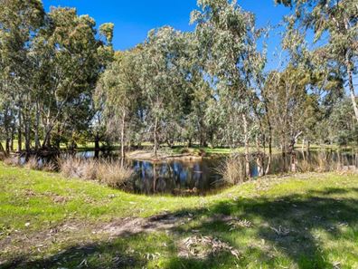 1 Maguire Place, Dardanup West WA 6236