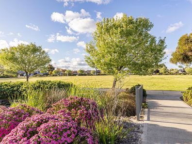 49 Baluran Avenue, Brabham WA 6055