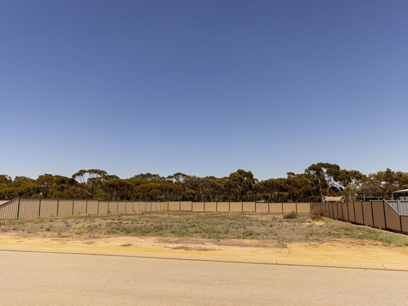 5 Carrington Way, Merredin WA 6415