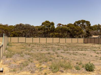 5 Carrington Way, Merredin WA 6415