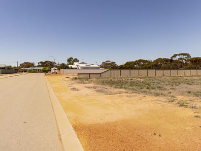 5 Carrington Way, Merredin WA 6415