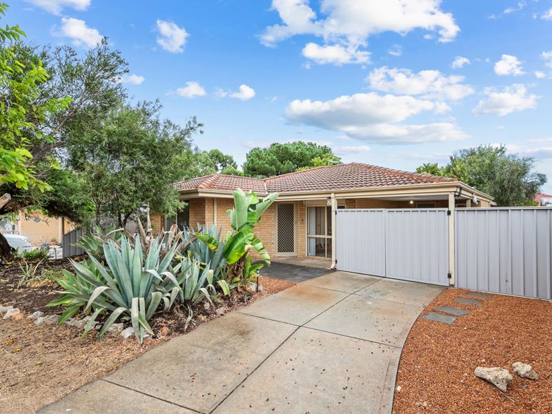 15 Luderick Grove, Warnbro WA 6169