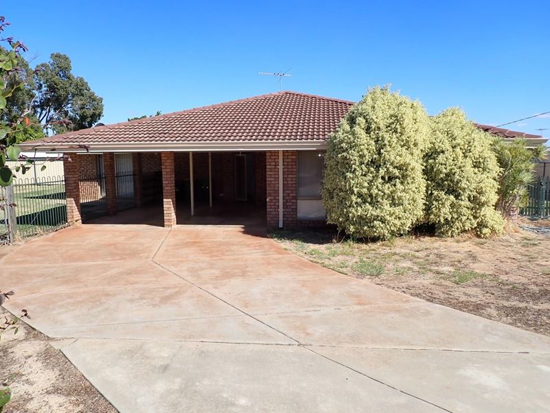 31 Coolabah Way, Forrestfield WA 6058