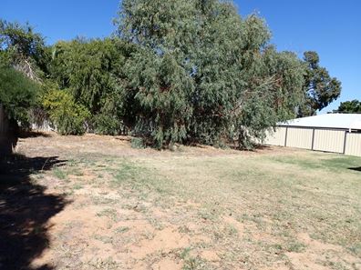 31 Coolabah Way, Forrestfield WA 6058