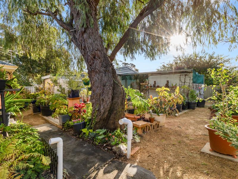 34 Stallard Place, Withers WA 6230