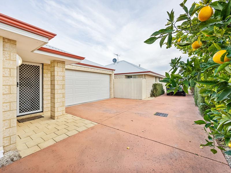 12B Stirton Court, South Bunbury WA 6230