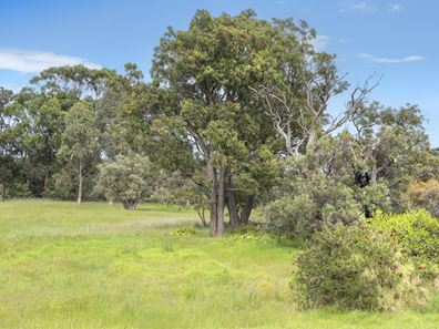 31 Dream Retreat, Wilyabrup WA 6280
