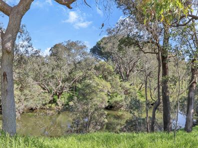 41 Salter Street, Pinjarra WA 6208