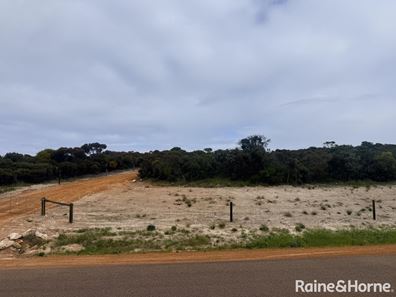 202 Canning Drive, Pink Lake WA 6450