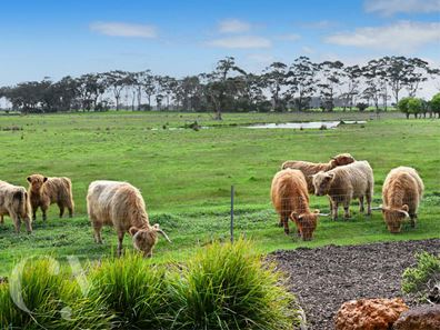 271 Redgate Road, Witchcliffe WA 6286
