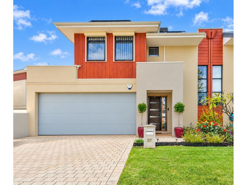 37 Brushfoot Boulevard, Success