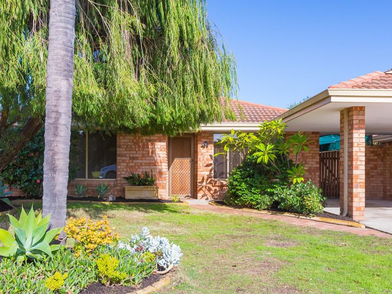 3A Jason Court, Thornlie WA 6108