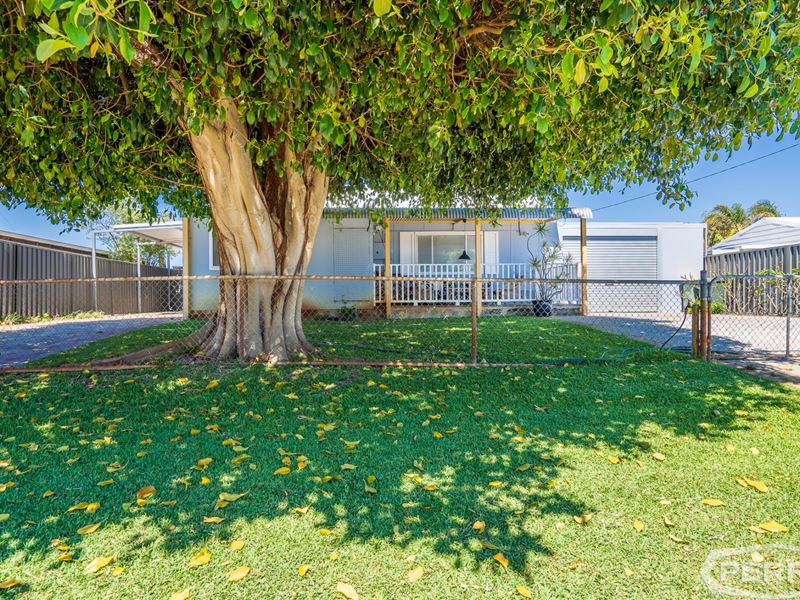 43 Dorothy Avenue, Falcon WA 6210