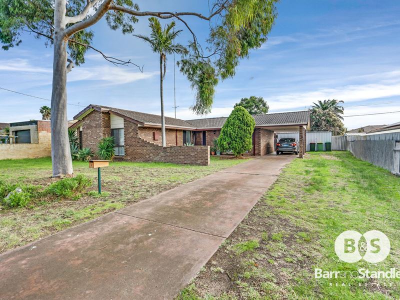 8 Cingalese Close, Carey Park
