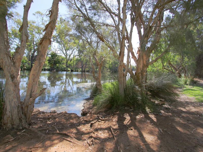 54A & B Marriamup St, Cannington