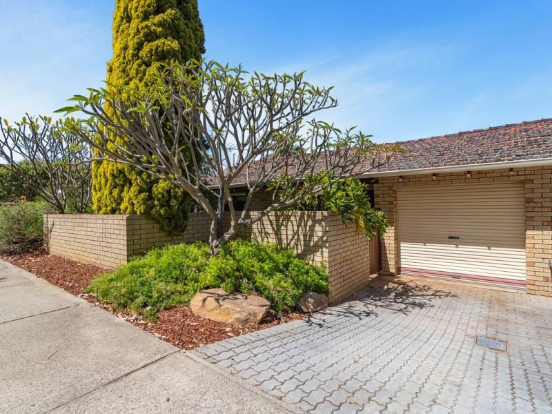 3/23 Salisbury Street, Leederville WA 6007