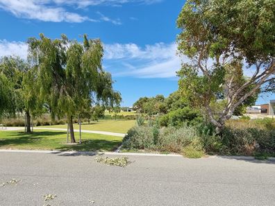 Lot 35, 15 Revilio Street, Lancelin WA 6044