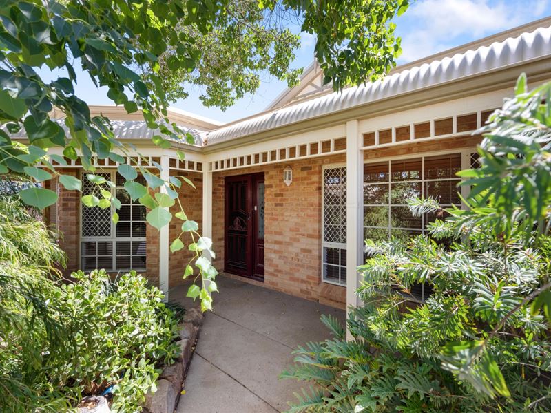 41A Lyall Street, Lamington