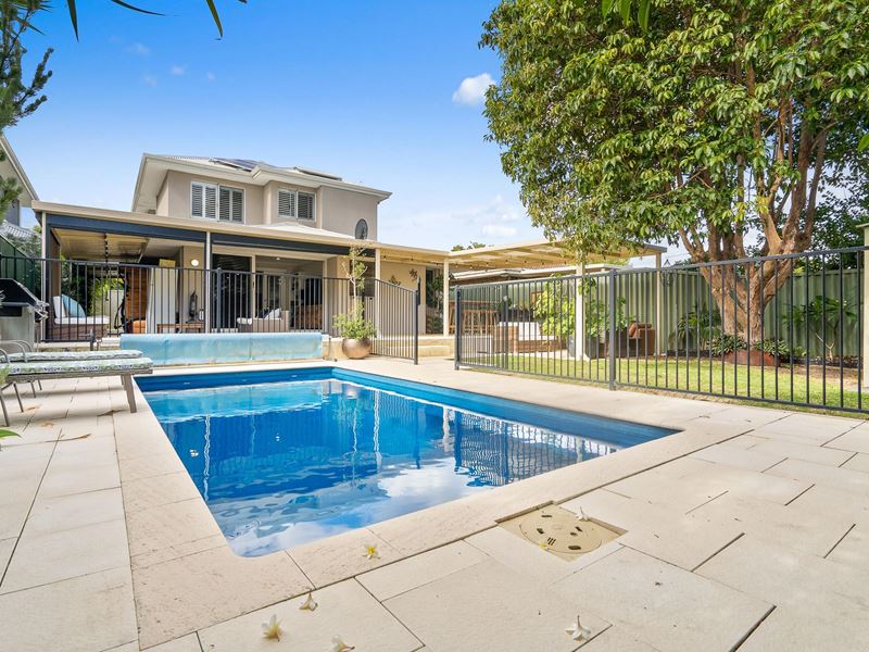 8A Ventnor Avenue, Mount Pleasant