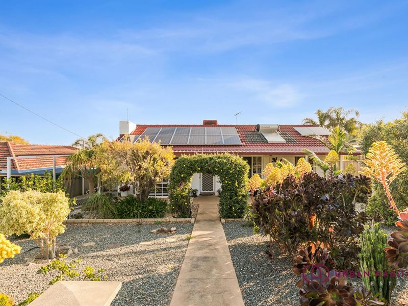 41 Orelia Avenue, Orelia