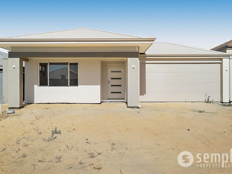 20 Nettup Street, Hammond Park WA 6164