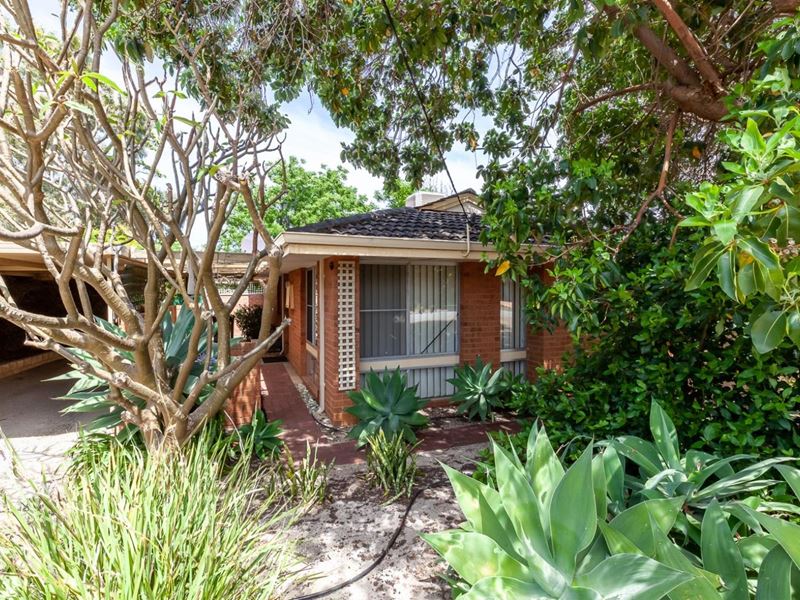 13 Rupert Street, Armadale WA 6112