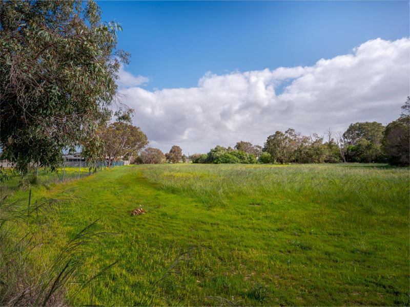 41 Farrall Road, Midvale WA 6056