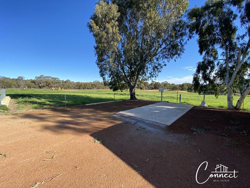 2 Fox Road (Avon Valley Caravan Park), Northam WA 6401