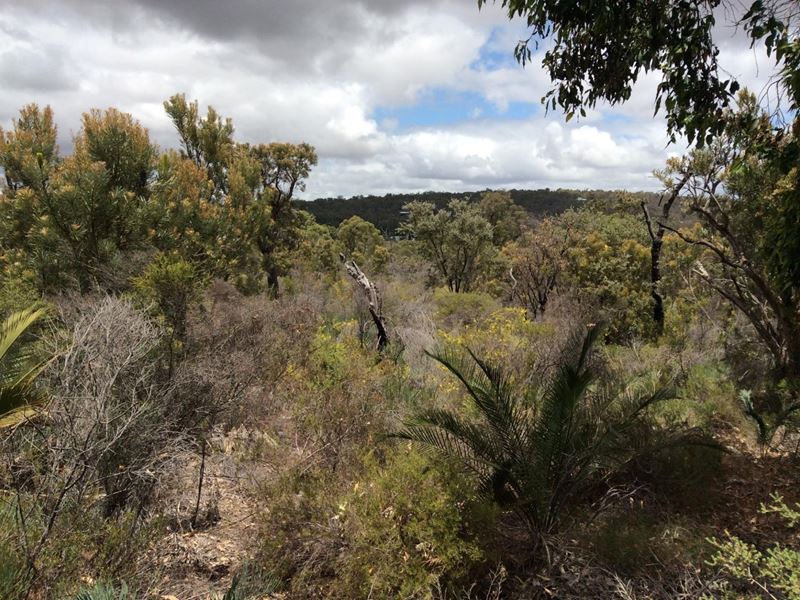 Toodyay