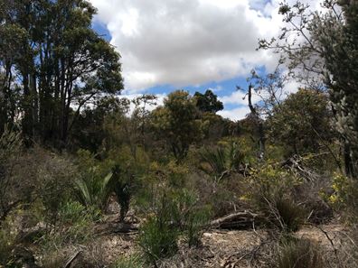 Toodyay WA 6566