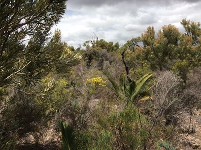 Toodyay WA 6566