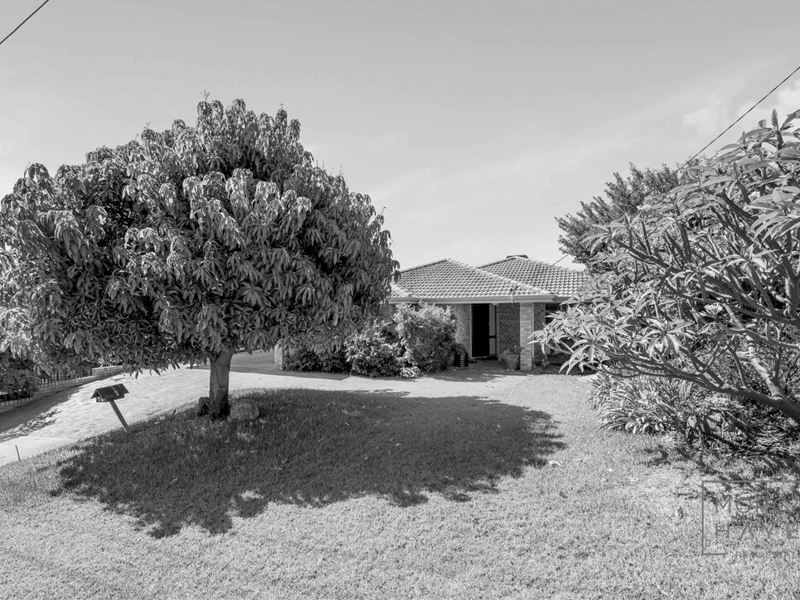 14 Elona Close, Willetton