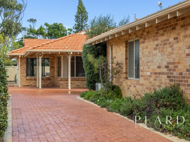 44b Malcolm Street, North Beach