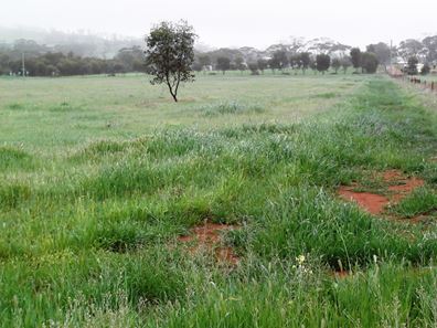 Lot 19,  Binning Close, Bejoording, Toodyay WA 6566