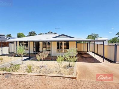 20 Gray Street, Narrogin WA 6312