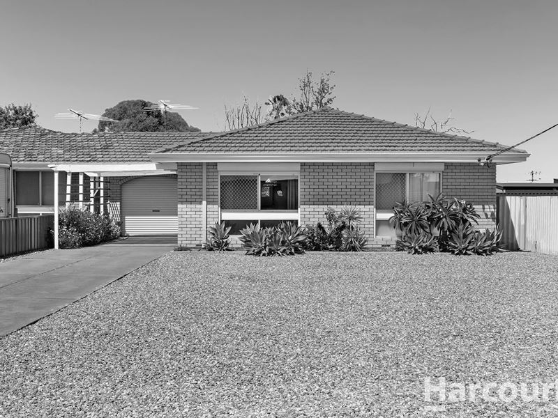 1/4 Scrivener Place, Halls Head WA 6210