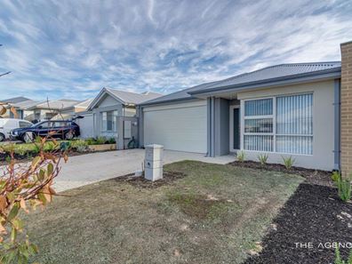 8 Dahlia Rise, Alkimos WA 6038