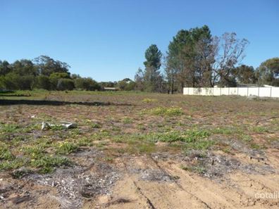 126 Lukin Street, Beverley WA 6304