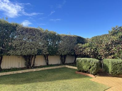 18 Mundaring Crescent, Dawesville WA 6211