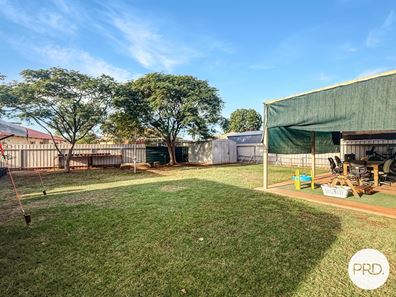 51 Radley Drive, Baynton WA 6714
