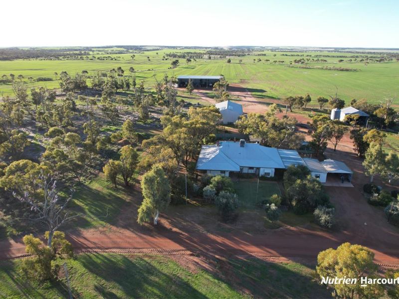 984 Lampard Tremlett Road, Coorow