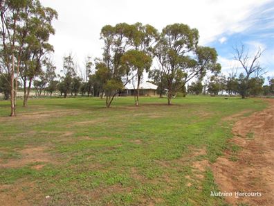 984 Lampard Tremlett Road, Coorow WA 6515
