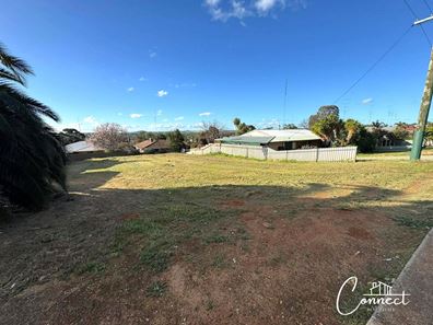 8 Hammond Place, Northam WA 6401