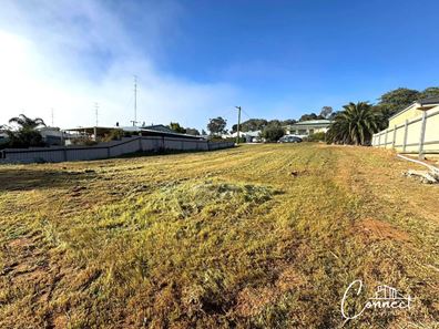 8 Hammond Place, Northam WA 6401