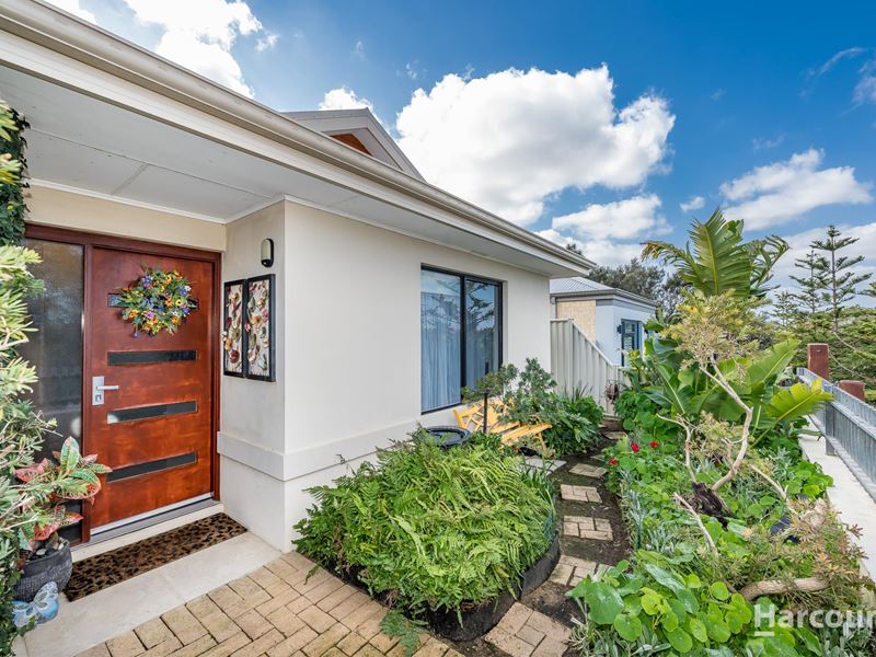 16 Shorehaven Boulevard, Alkimos WA 6038