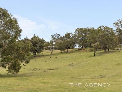 8 Newman Road, Glen Forrest WA 6071