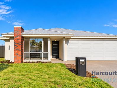 3 Violacea Road, Baldivis WA 6171